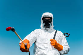 Best Termite Inspection and Treatment  in Bossier City, LA